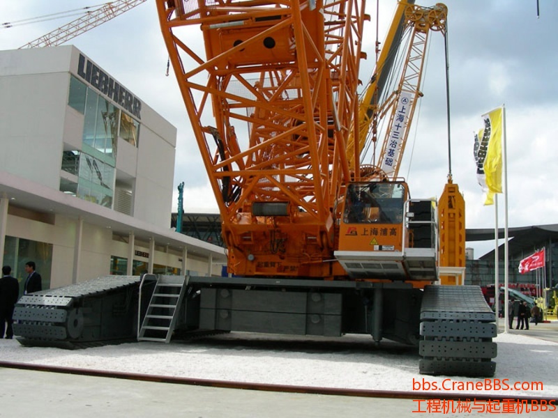 YG003.jpg