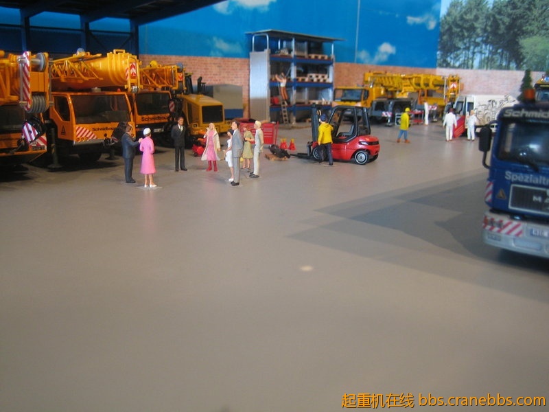 11717702cn.jpg