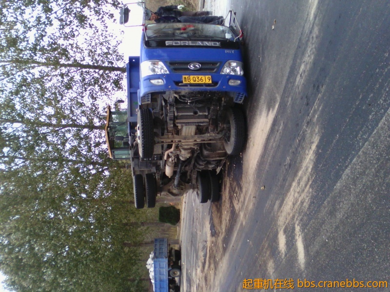 IMG_20121026_145004.jpg