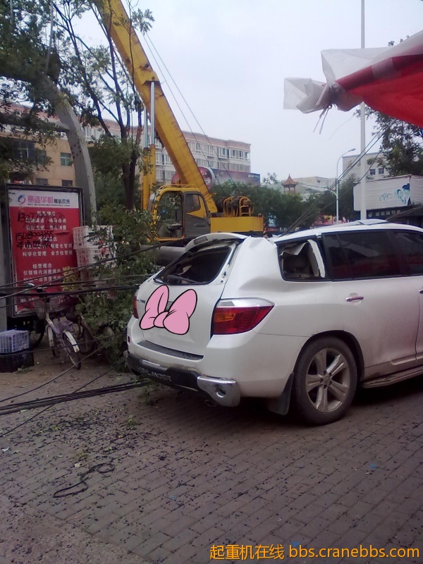 201209101342._副本.jpg