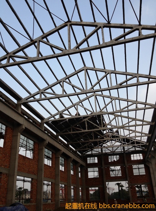 nEO_IMG_毛毛 510.jpg