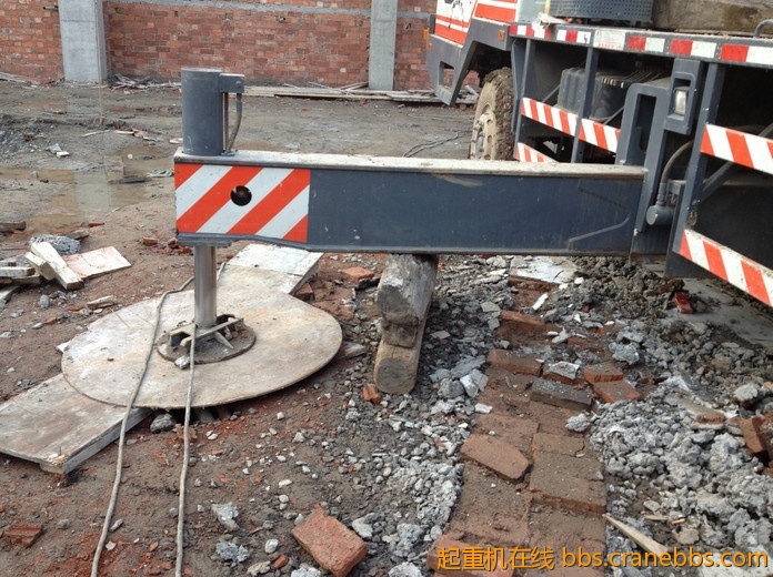 nEO_IMG_毛毛 513.jpg