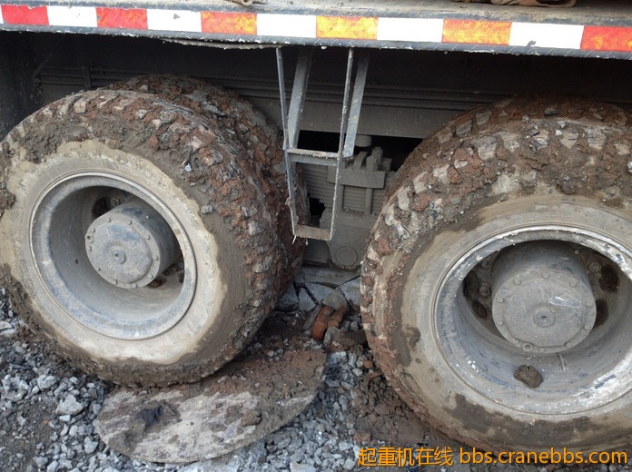 nEO_IMG_毛毛 514.jpg