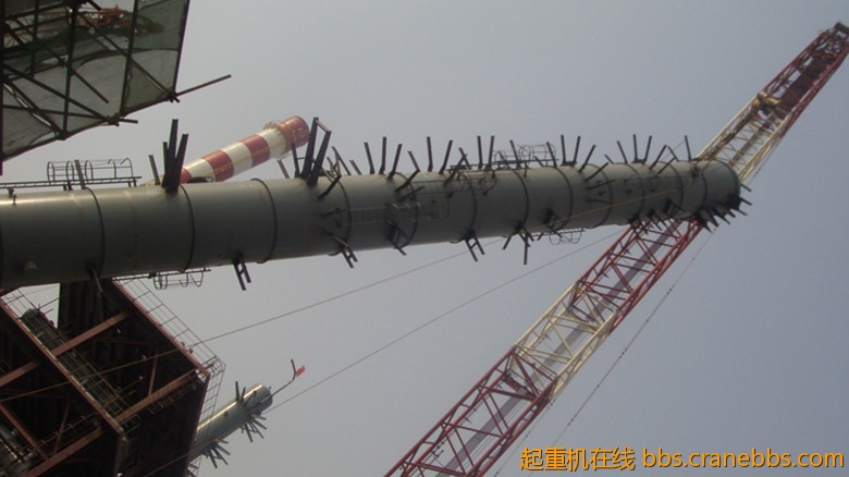 S73F3974_副本.jpg