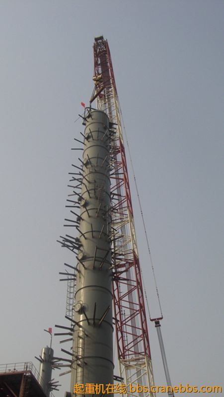 S73F3983_副本.jpg