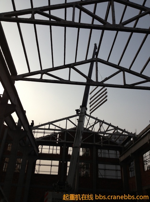 nEO_IMG_毛毛 520.jpg