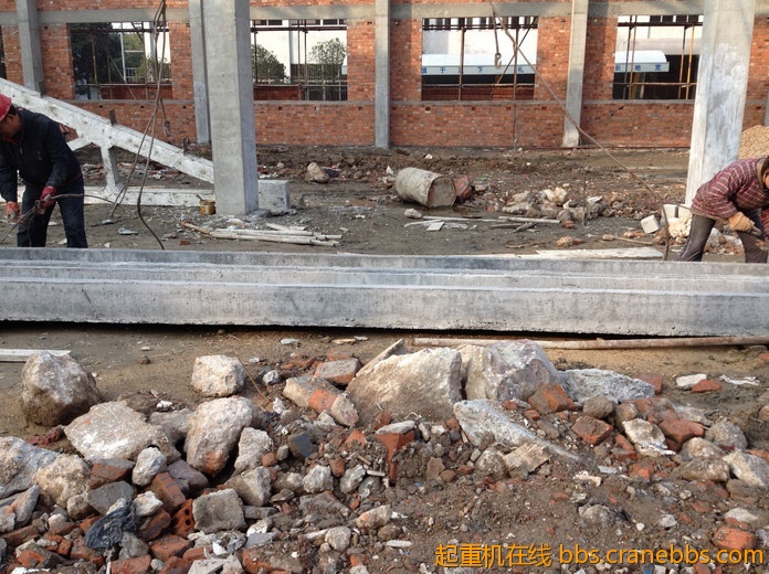 nEO_IMG_毛毛 521.jpg