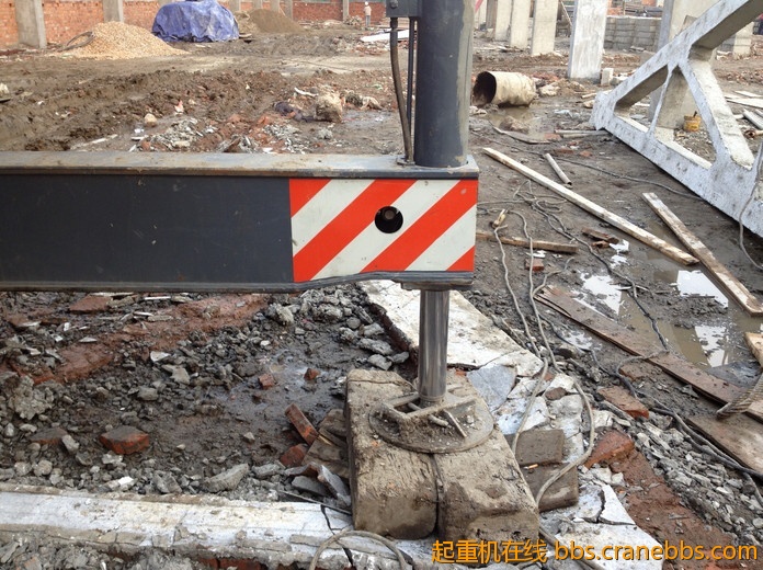 nEO_IMG_毛毛 515.jpg