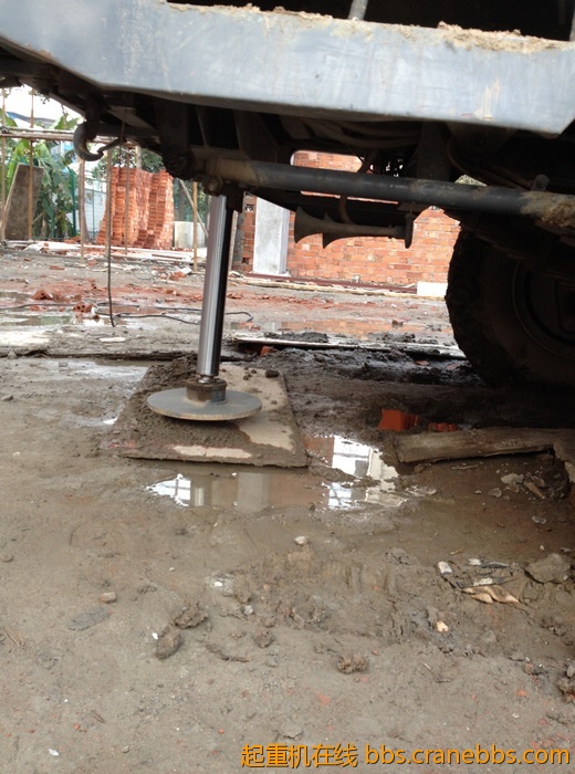 nEO_IMG_毛毛 516.jpg