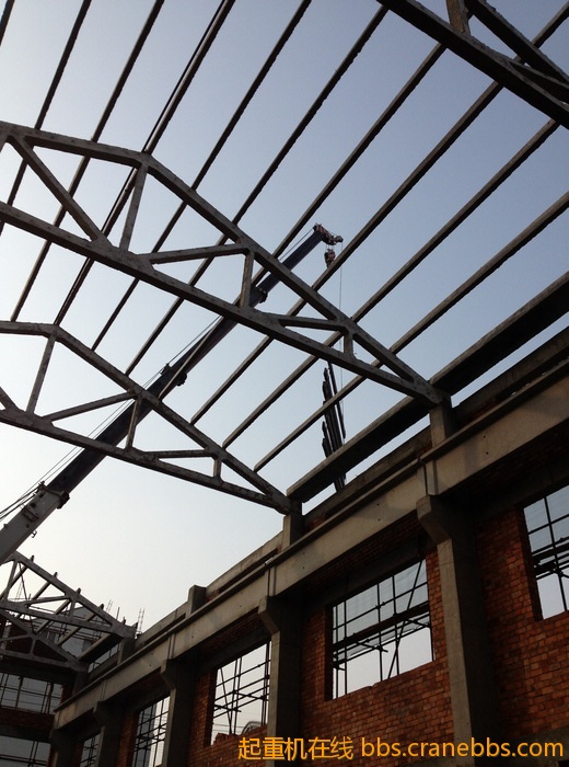 nEO_IMG_毛毛 518.jpg