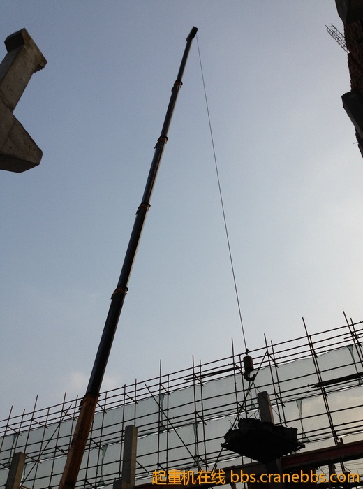 nEO_IMG_毛毛 533.jpg