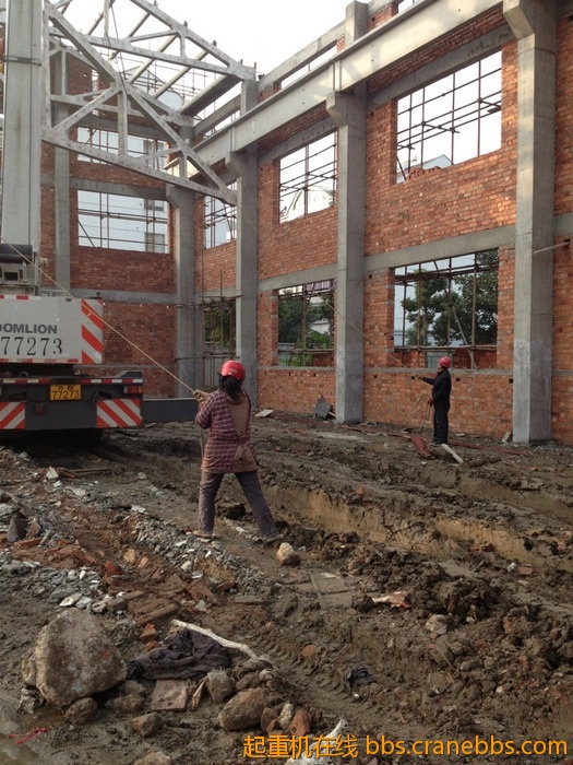 nEO_IMG_毛毛 526.jpg