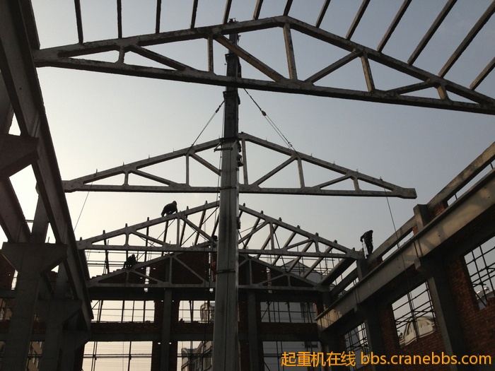 nEO_IMG_毛毛 527.jpg