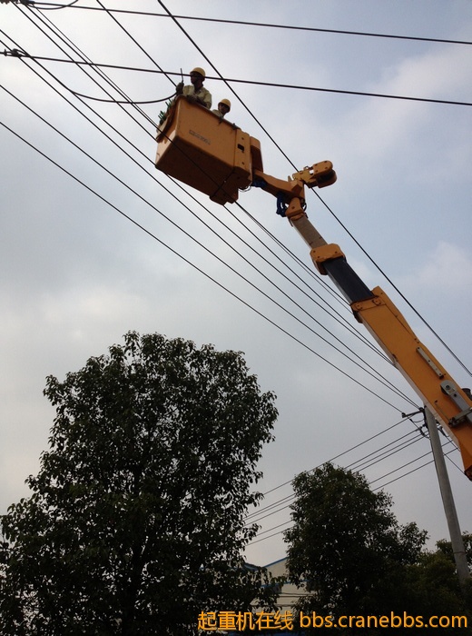 nEO_IMG_毛毛 257.jpg