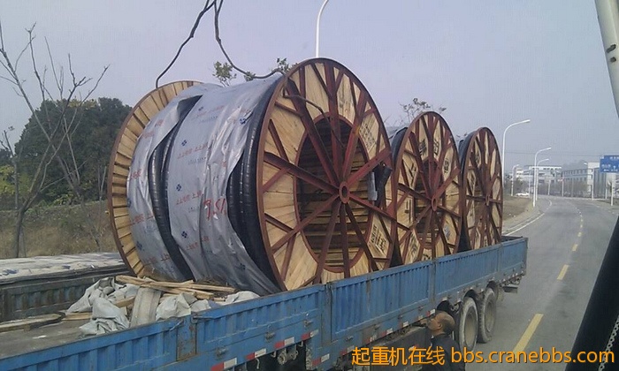 nEO_IMG_毛毛 266.jpg