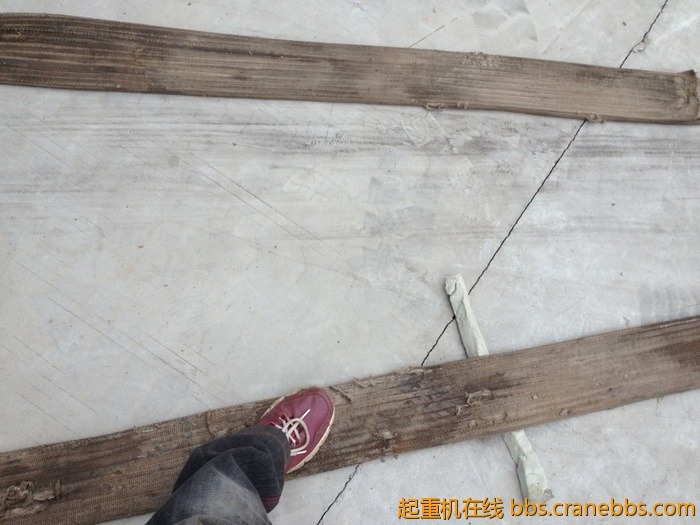 nEO_IMG_毛毛 419.jpg