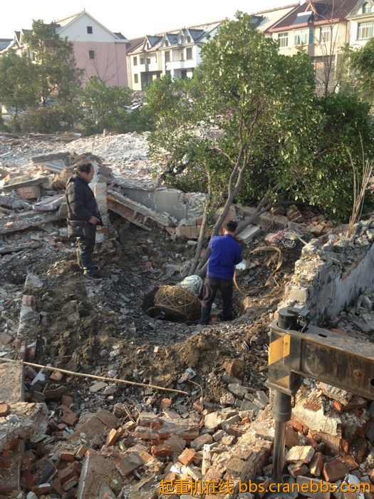 nEO_IMG_毛毛 328.jpg