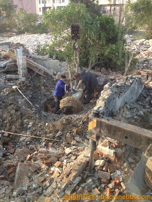 nEO_IMG_毛毛 329.jpg