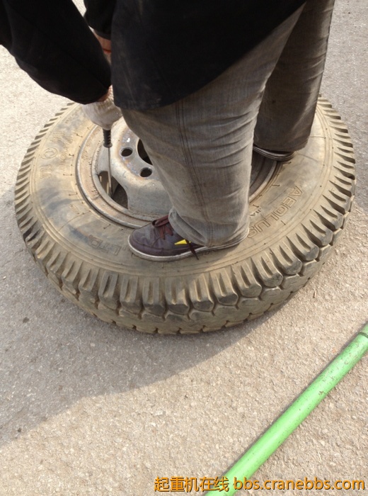 nEO_IMG_毛毛 345.jpg