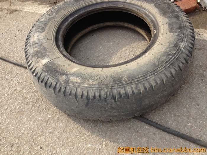 nEO_IMG_毛毛 346.jpg