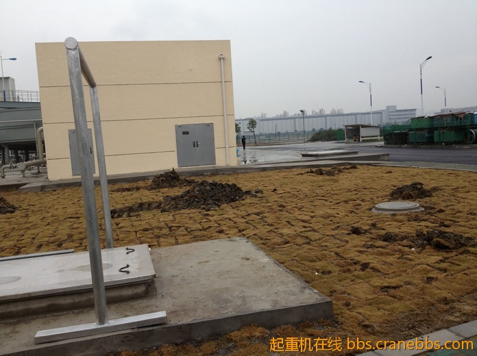 nEO_IMG_毛毛 371.jpg