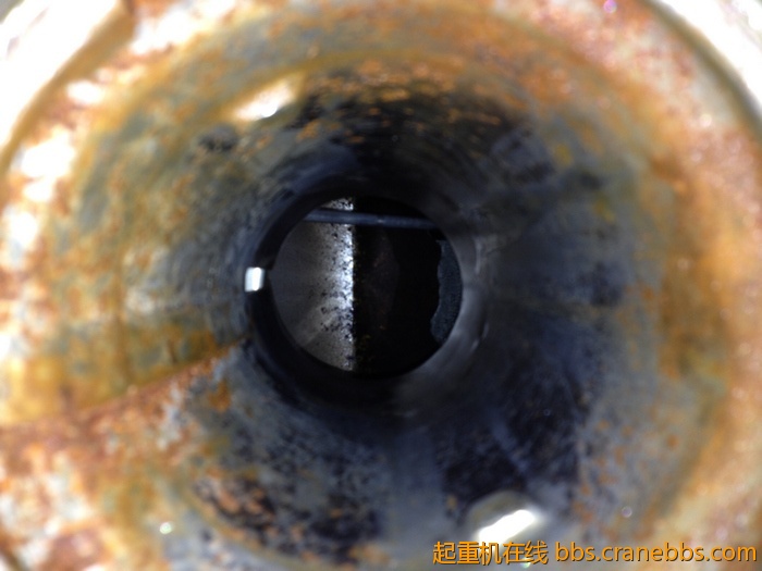 nEO_IMG_毛毛 382.jpg