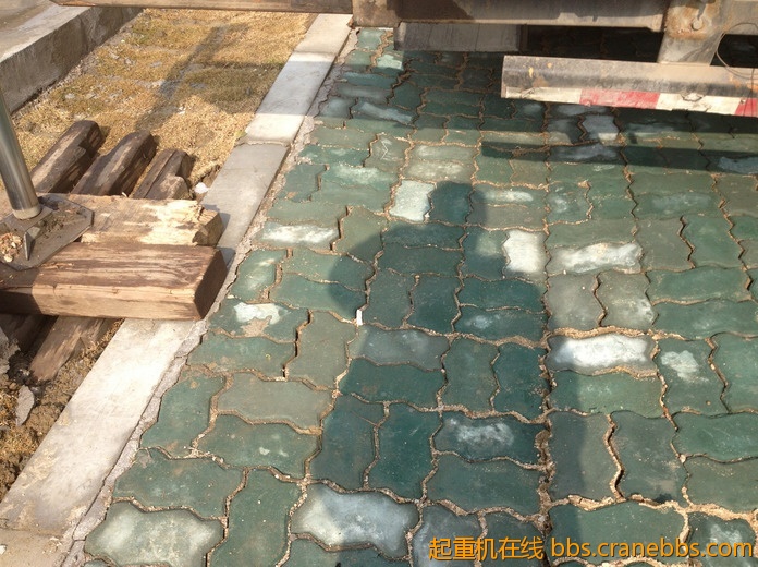 nEO_IMG_毛毛 373.jpg