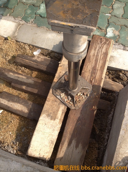 nEO_IMG_毛毛 374.jpg