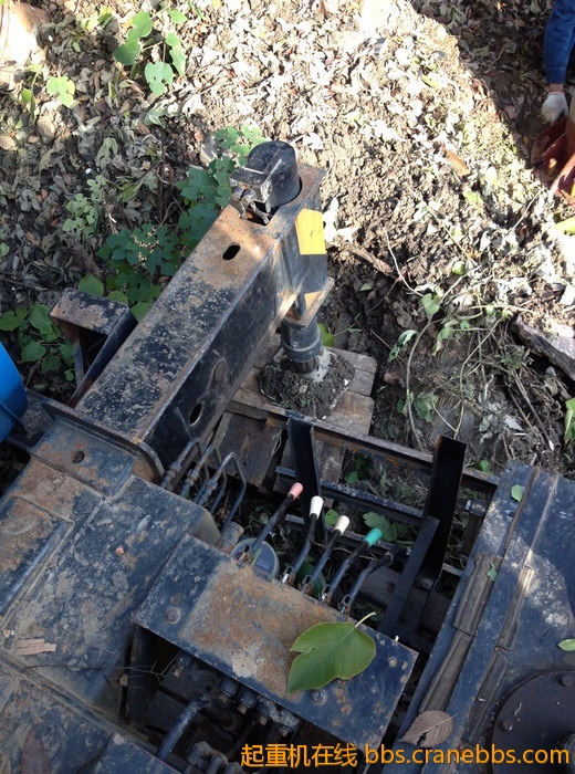 nEO_IMG_毛毛 305.jpg