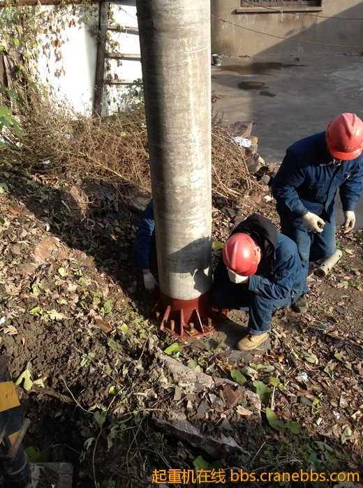 nEO_IMG_毛毛 306.jpg