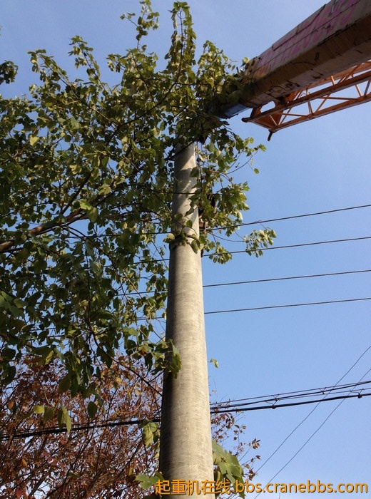 nEO_IMG_毛毛 307.jpg