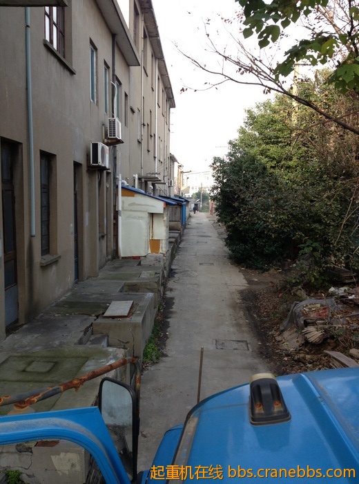 nEO_IMG_毛毛 309.jpg