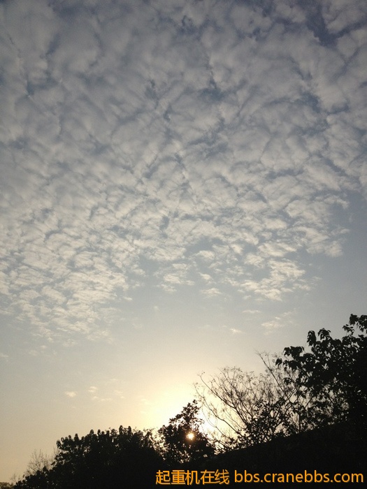 nEO_IMG_毛毛 303.jpg