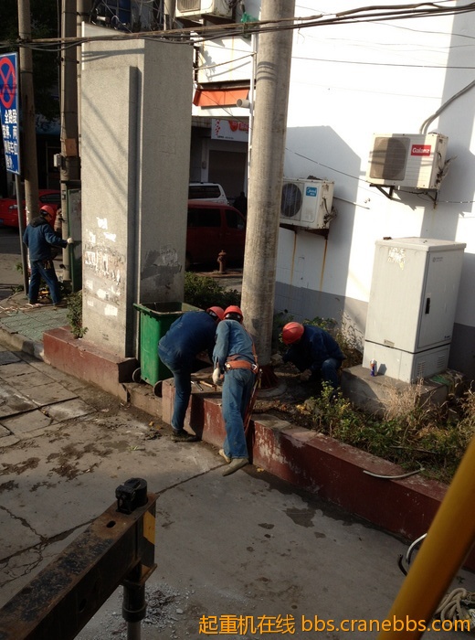 nEO_IMG_毛毛 338.jpg