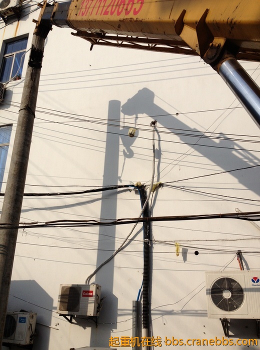 nEO_IMG_毛毛 339.jpg