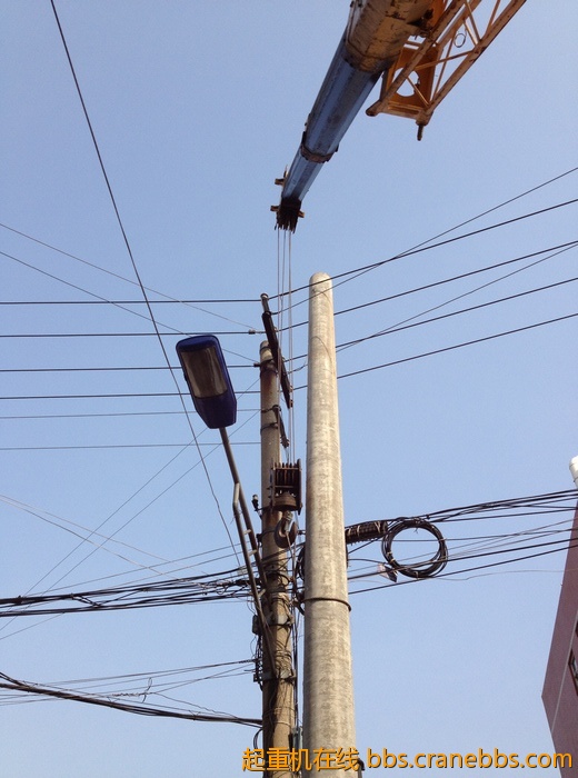 nEO_IMG_毛毛 341.jpg