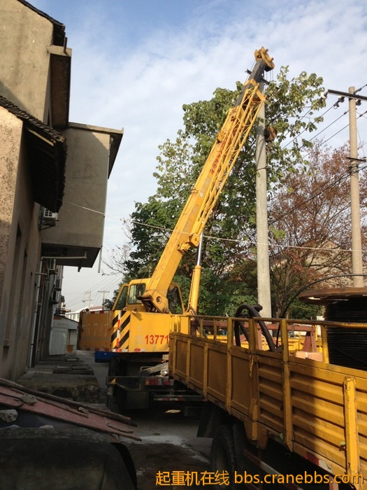 nEO_IMG_毛毛 311.jpg