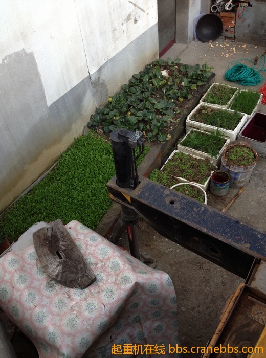 nEO_IMG_毛毛 335.jpg