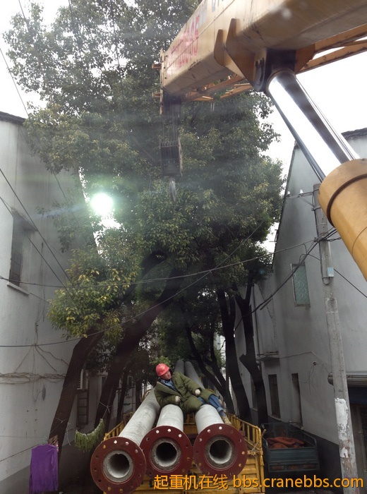 nEO_IMG_毛毛 446.jpg