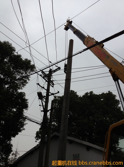 nEO_IMG_毛毛 447.jpg