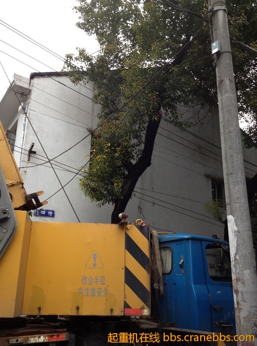 nEO_IMG_毛毛 448.jpg