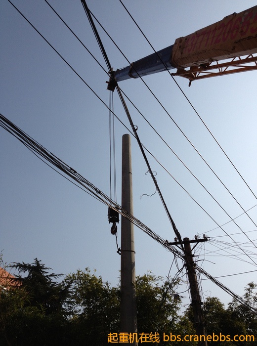 nEO_IMG_毛毛 342.jpg