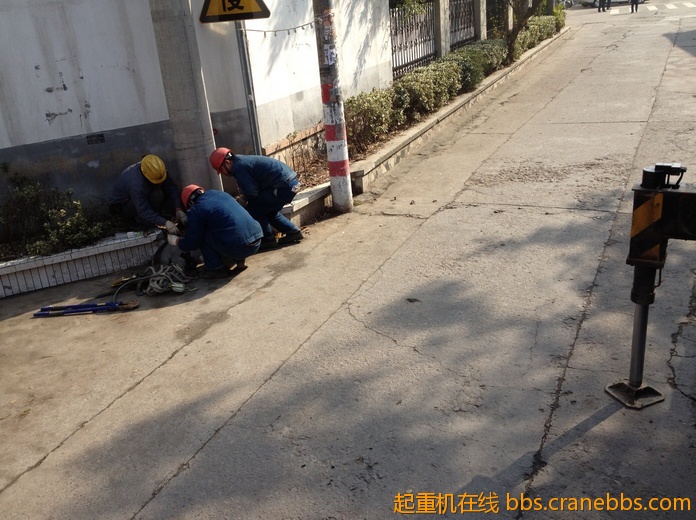 nEO_IMG_毛毛 343.jpg