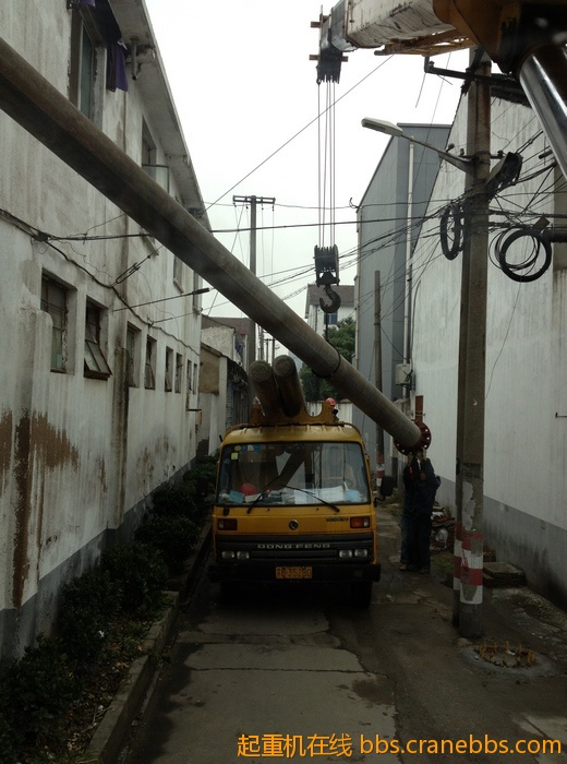 nEO_IMG_毛毛 443.jpg