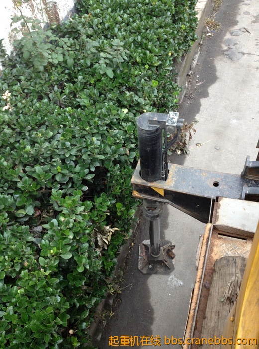 nEO_IMG_毛毛 444.jpg