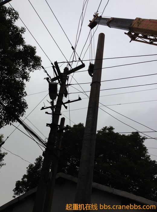 nEO_IMG_毛毛 452.jpg