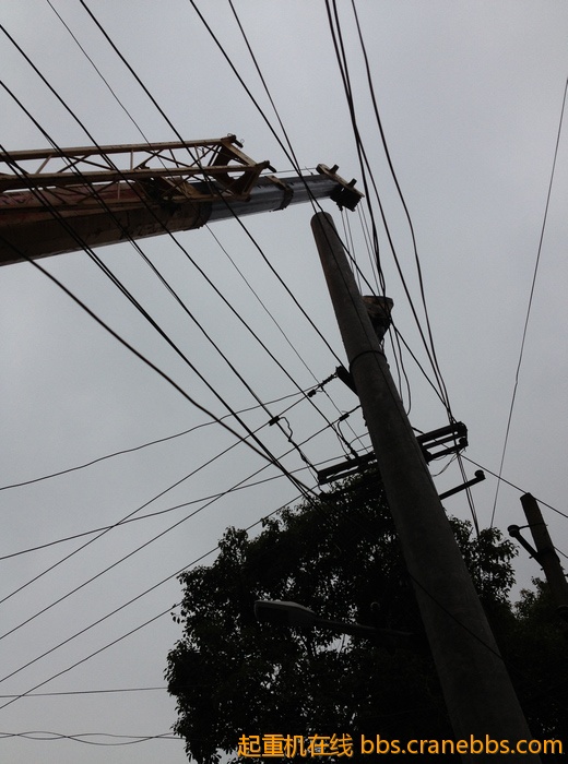 nEO_IMG_毛毛 453.jpg