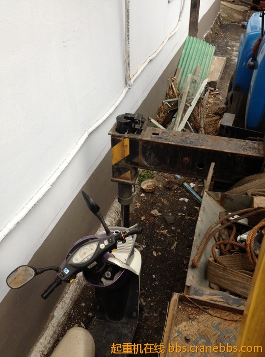 nEO_IMG_毛毛 456.jpg