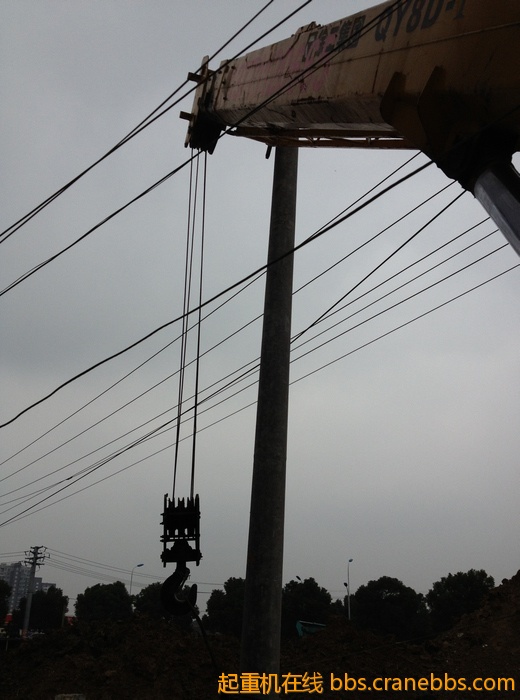 nEO_IMG_毛毛 461.jpg