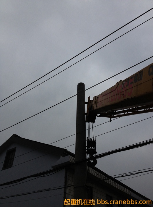 nEO_IMG_毛毛 463.jpg